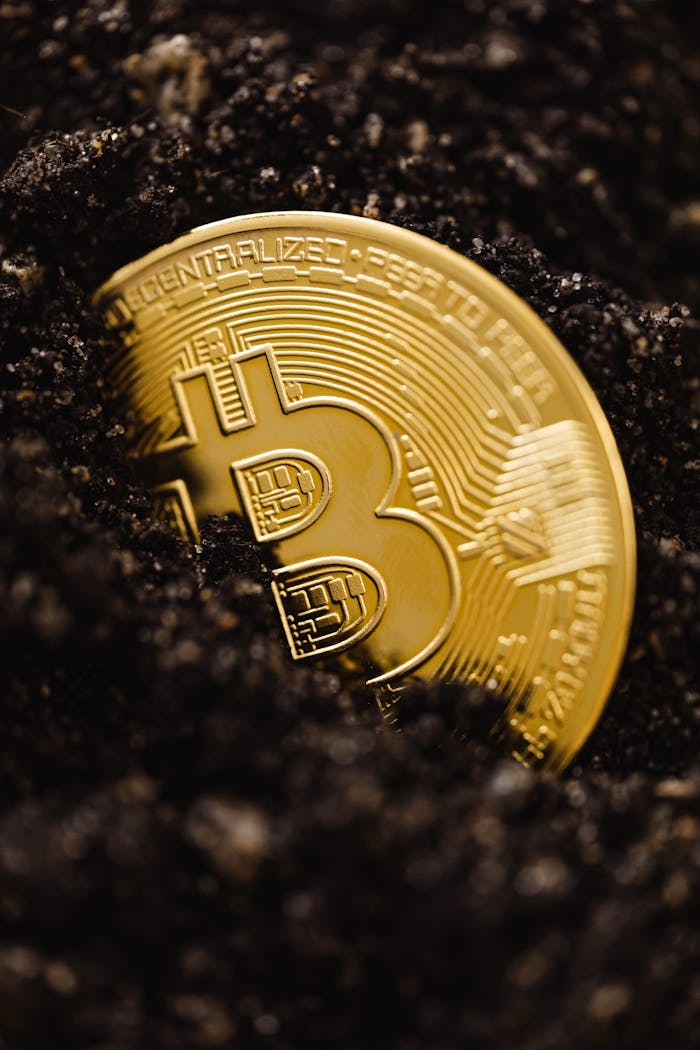 OLE777 Close-up of a gold Bitcoin coin emerging from dark soil, representing digital currency growth.
